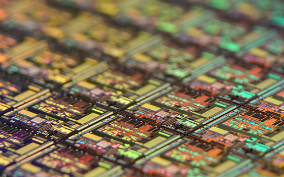Homepage Image 3